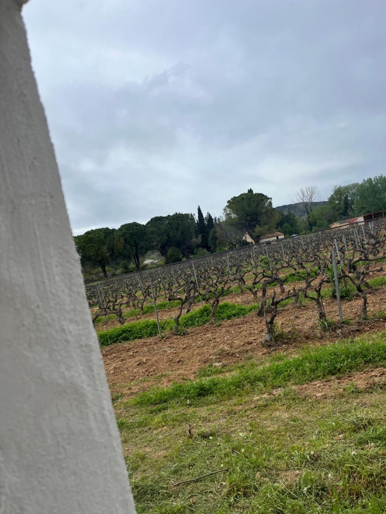 Appartement Avec Piscine Au Milieu Des Vignes Les Arcs-sur-Argens Dış mekan fotoğraf